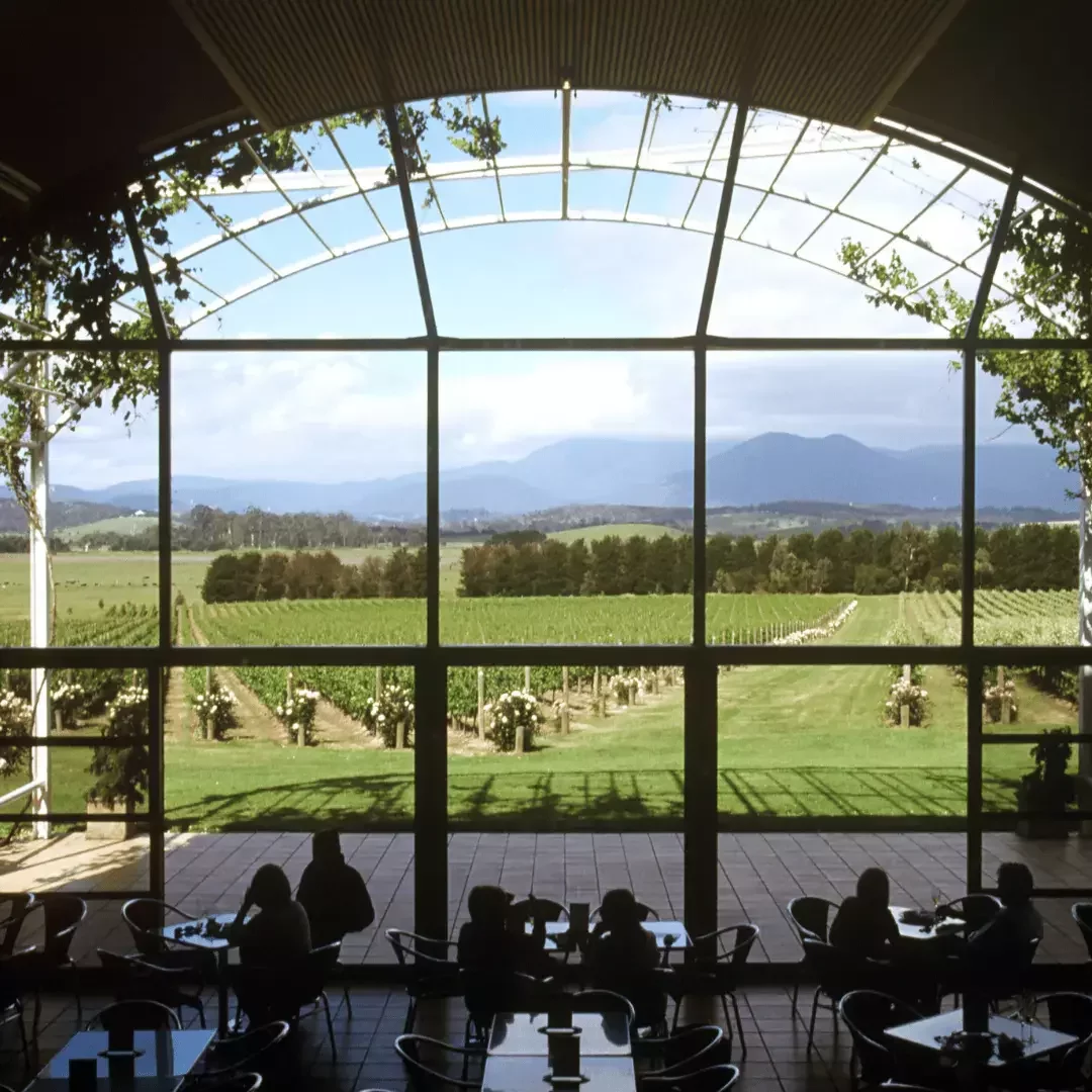 Winery image